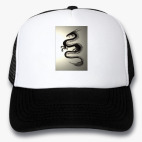 Кепки Trucker