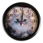 Кот
