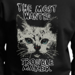 Самый разыскиваемый пакостник