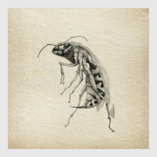 Постер Wasp