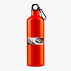 Металлическая бутылка 700 мл UV-DTF