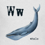 whale-горбатый кит, азбука