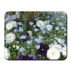 Цветочный ковёр