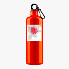 Металлическая бутылка 700 мл UV-DTF