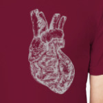 Big Heart Anatomy