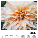 Летние цветы