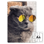 Кот-хитпстер