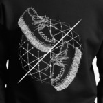 Слова и фразы - твои шаги!