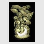 Owls are not what they seem