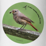 Горихвостка