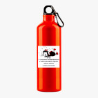 Металлическая бутылка 700 мл UV-DTF