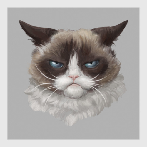 Постер Grumpy Cat / Сердитый Кот