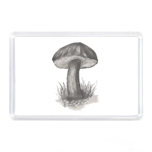 Магнит с принтом Гриб