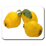 Quince. Low poly.