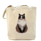 Холщовая сумка