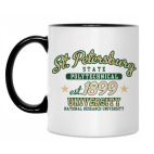 Политехнический СПб