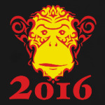 Год обезьяны 2016
