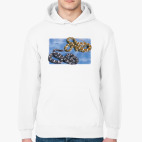 Толстовка худи