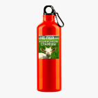 Металлическая бутылка 700 мл UV-DTF