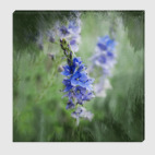 Veronica teucrium - Вероника дубровник