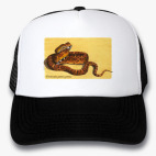 Кепки Trucker
