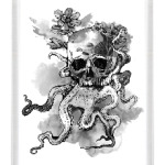 Череп-кальмар