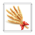 Колосья Пшеницы