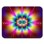 Psychedelic Fractality