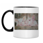 Кружка двухцветная