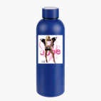 Термобутылка