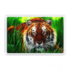 Тигр в кустах