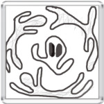 'UFO'