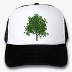Кепки Trucker
