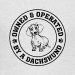 Owned & Operated By Dachshund