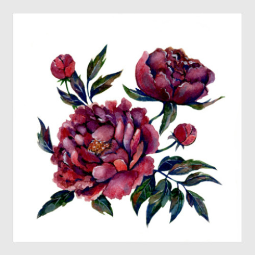 Постер с принтом Пионы