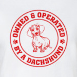 Owned & Operated By Dachshund