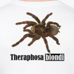 Theraphosa