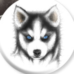 Сибирский хаски Siberian husky