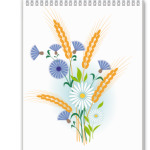 полевые цветы