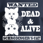 Кот Шрёдингера