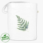 Папоротник