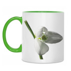 Весеннее настроение