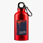 Металлическая бутылка 400 мл UV-DTF