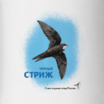 Чёрный стриж