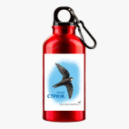 Металлическая бутылка 400 мл UV-DTF