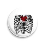 сердце и ребра