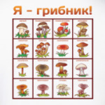 Я-грибник!