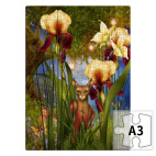  Дикая кошка