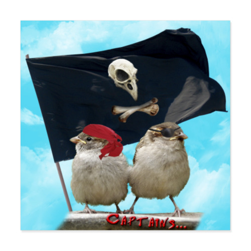 Виниловые наклейки с принтом Воробьи-пираты