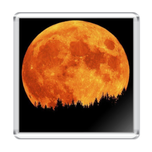 Магнит с принтом Полнолуние